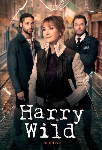 Harry Wild poster