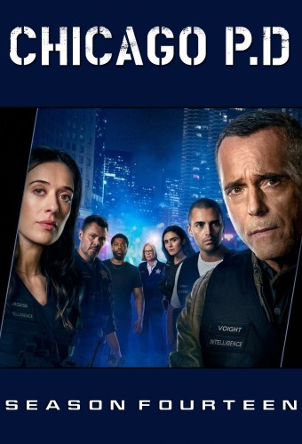 Chicago P.D. poster