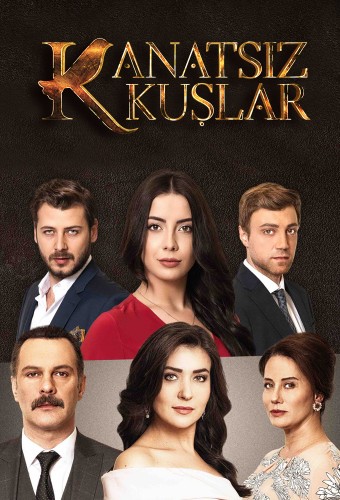 Kanatsız Kuşlar afişi