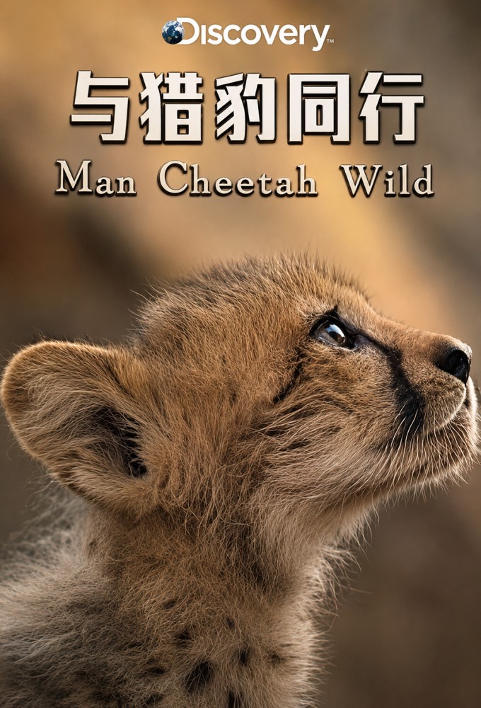 Man, Cheetah, Wild
