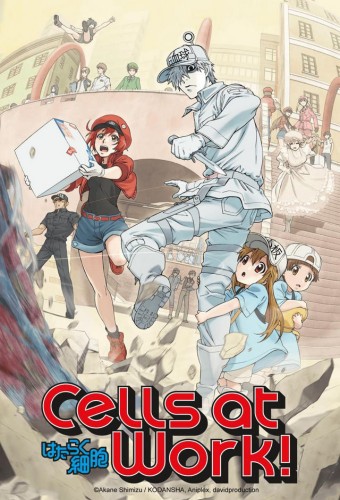Cells at Work! – plakat serialu anime