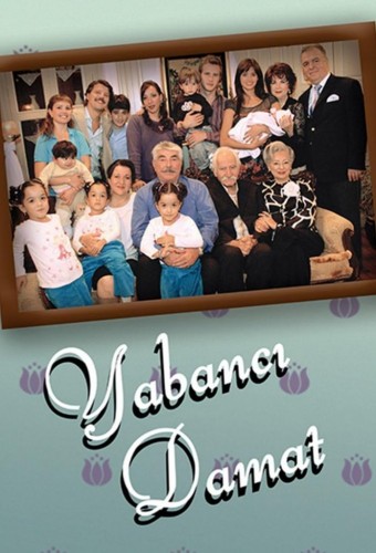 Yabancı Damat afişi