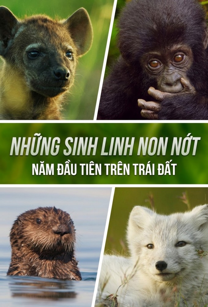 Animal Babies: First Year on Earth