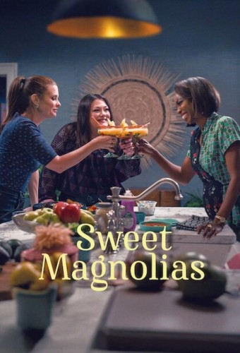 Sweet Magnolias poster