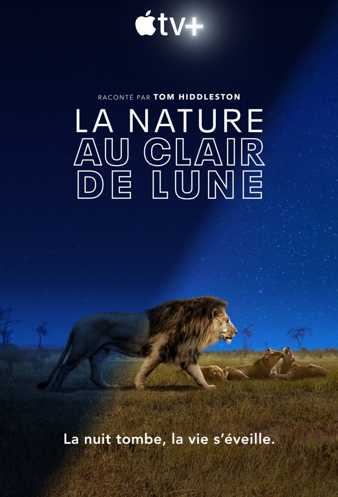 Earth at Night in Color