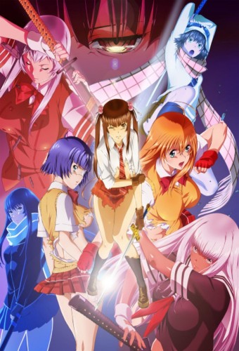 Shin Ikki Tousen – plakat serialu anime