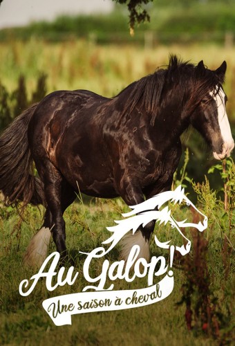 Au Galop! Une Saison à Cheval