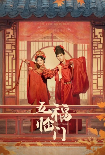 Perfect Match poster
