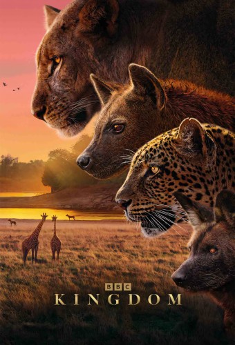 Kingdom 6th Season – plakat anime