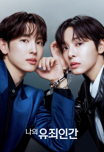 Love in Disguise poster