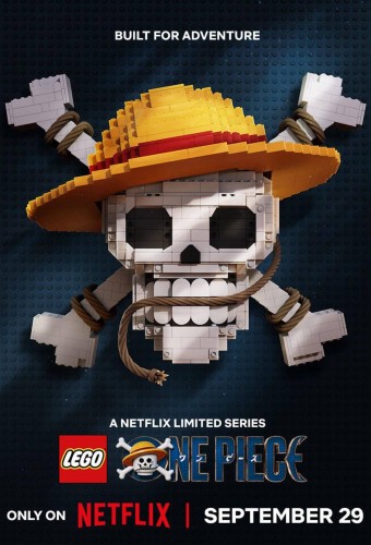 LEGO ONE PIECE poster