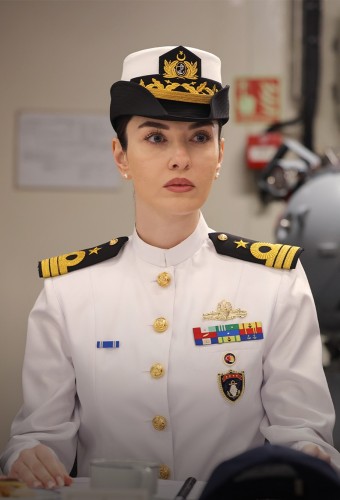 Operasyon Alesta afişi